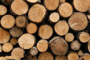 不同的木材是怎么样区别，评测