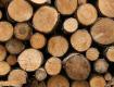 不同的木材是怎么样区别，评测