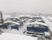 “暴风雪+”陶瓷行业也曾伤痕累累，该如何应对？